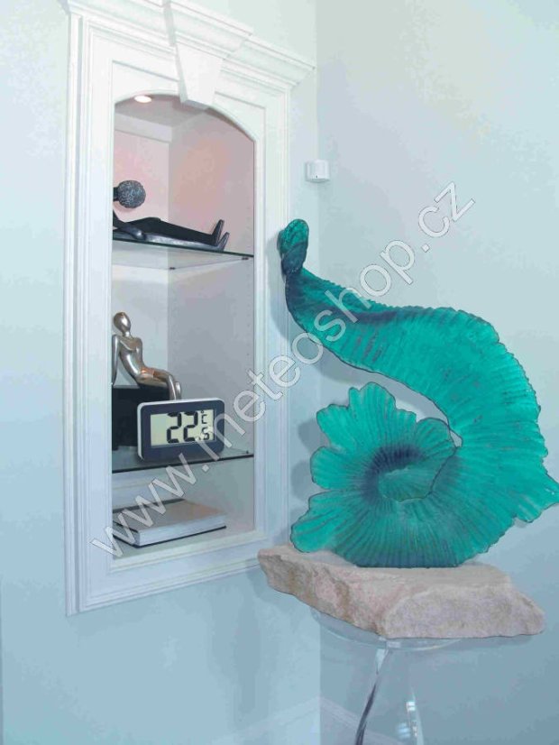 TFA 30.2028.01 - Digitální teploměr do lednice - černý