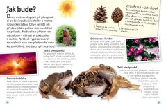 Počasí - zábavné čtení pro malé přírodovědce