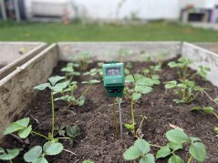 TFA 48.1000 - Zahradní kombitester pro rostliny