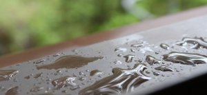 Jak počítat srážky a kam umístit teploměr? Připravte zahrádku na sezónu