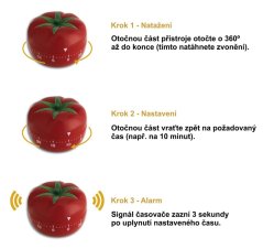 TFA 38.1005 - RAJČE - Minutky