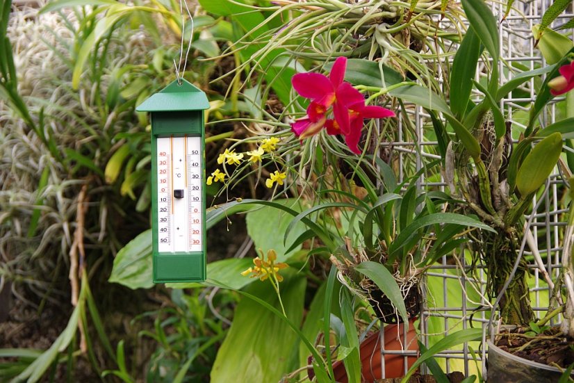 TFA 10.3015.04 - Teploměr min-max - zelený