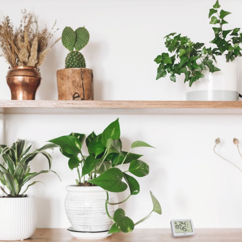 TFA 30.5055.02 - Digitální teploměr s vlhkoměrem - bílý
