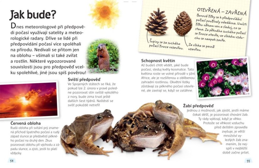 Počasí - zábavné čtení pro malé přírodovědce